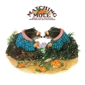 MATCHING MOLE-s/t