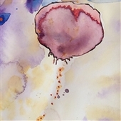 CUSTARD FLUX-Helium
