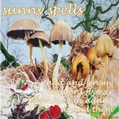 V/A-Sunny Spells (yellow)