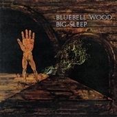 BIG SLEEP-Bluebell Wood