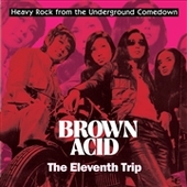 V/A-Brown Acid: The Eleventh Trip