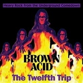 V/A-Brown Acid: The Twelfth Trip