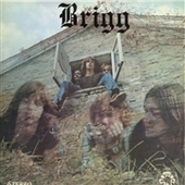 BRIGG-s/t