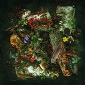 AGUSA-Än Annan Värld (black)