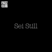 SEI STILL-Fuzz Club Session