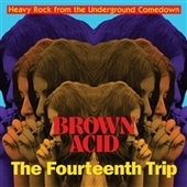 V/A-Brown Acid: The Fourteenth Trip