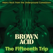 V/A-Brown Acid: The Fifteenth Trip