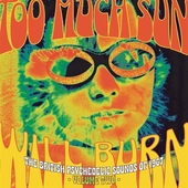 V/A-Too Much Sun Will Burn