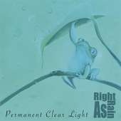 PERMANENT CLEAR LIGHT-Right As Rain