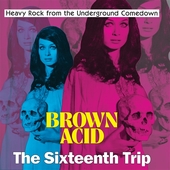 V/A-Brown Acid: The Sixteenth Trip