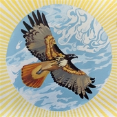 ELKHORN-On The Whole Universe In All Directions