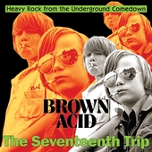 V/A-Brown Acid: The Seventeenth Trip (black)