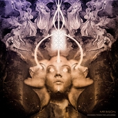 MR. BISON-Echoes From The Universe (black)