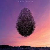MOON GOOSE-Murmurations