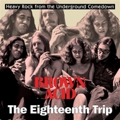 V/A-Brown Acid: The Eighteenth Trip