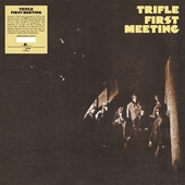 TRIFLE-First Meeting