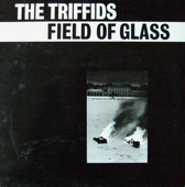 TRIFFIDS, THE-Field of glass