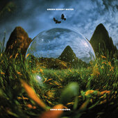 GREEN DESERT WATER-Eerie Meadows (blue+orange/white splatter)