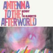 SONNY & THE SUNSETS-Antenna to the Afterworld