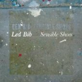 LED BIB-Sensible Shoes