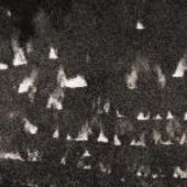 HEAVY WINGED-Fields Within Fields