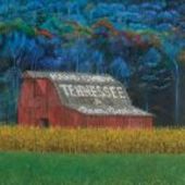 CHEW, HANS-Tennessee & Other Stories...
